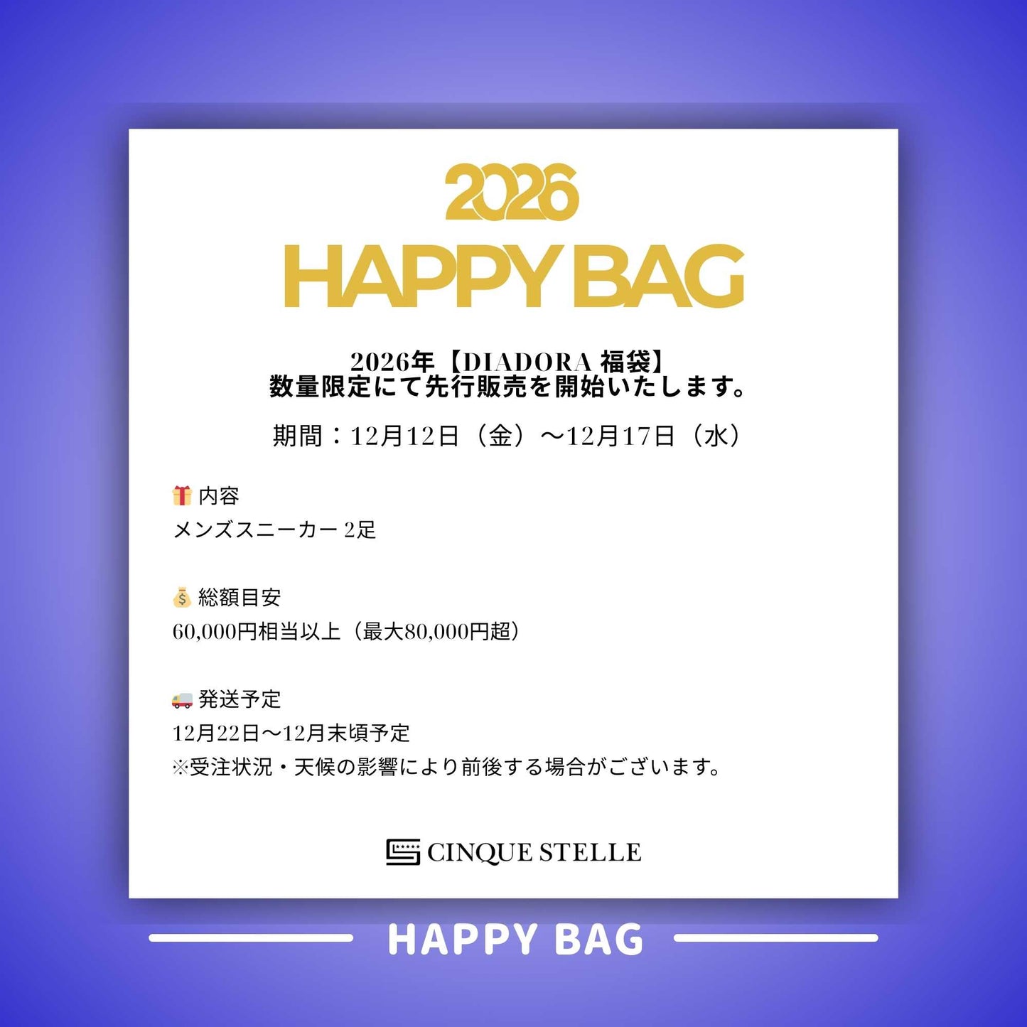 【メンズ福袋】Diadora 最大80,000円相当 スニーカー2足入り福袋