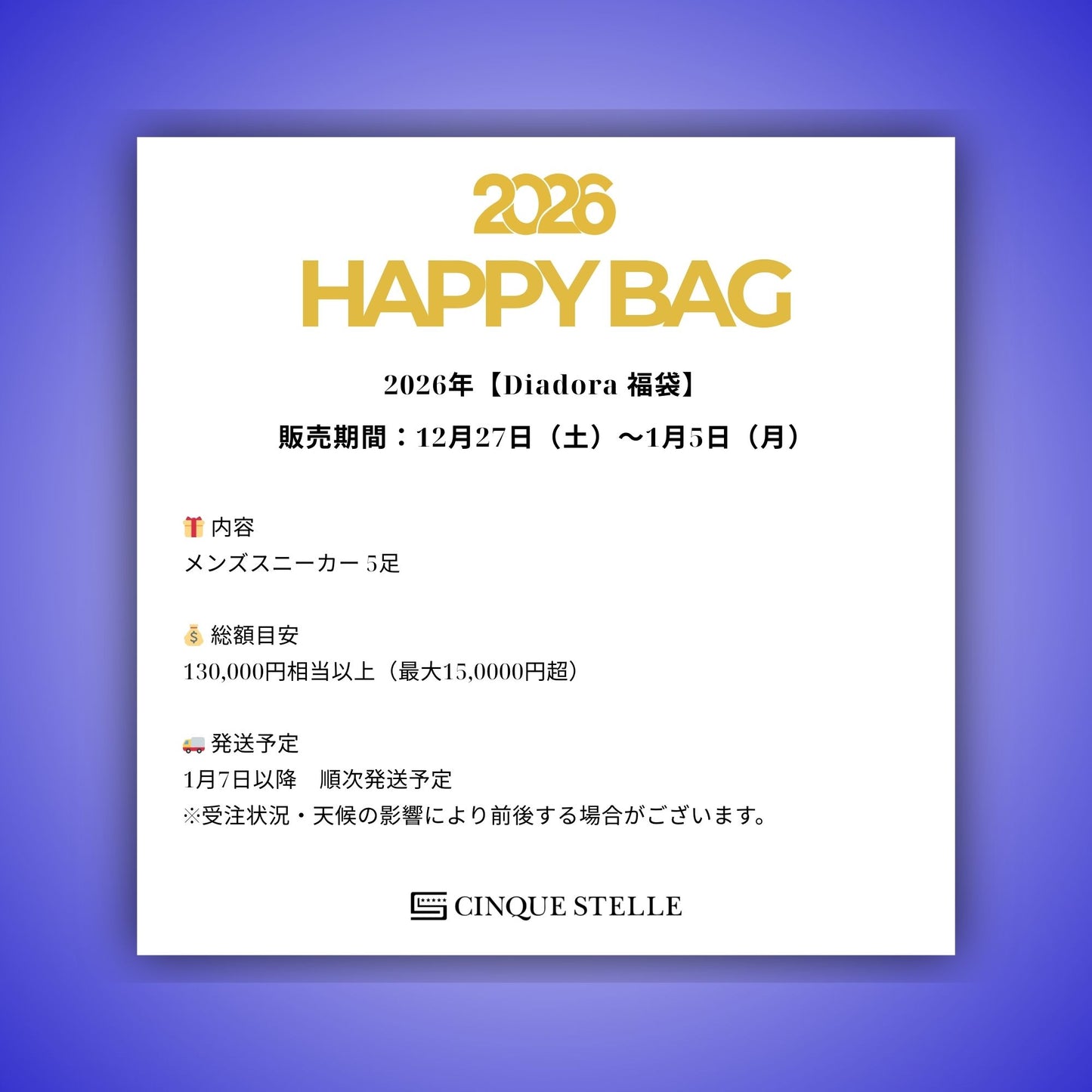 【メンズ福袋】Diadora 最大150,000円相当 スニーカー5足入り福袋